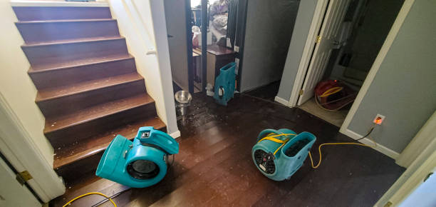 Best Carpet water damage restoration  in Rugby, ND