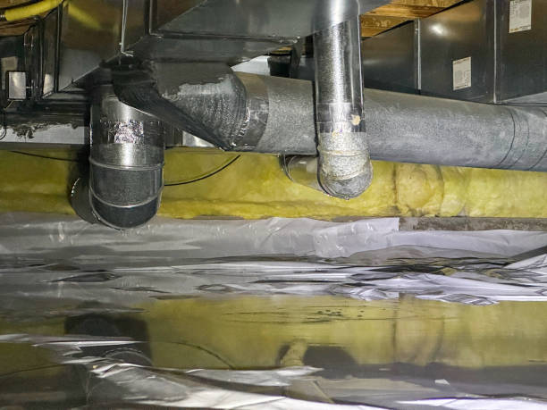 Best Water damage cleanup near me  in Rugby, ND